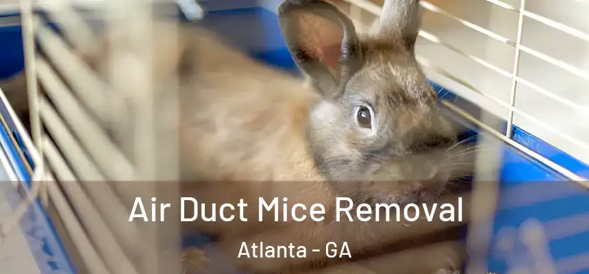 Air Duct Mice Removal Atlanta - GA