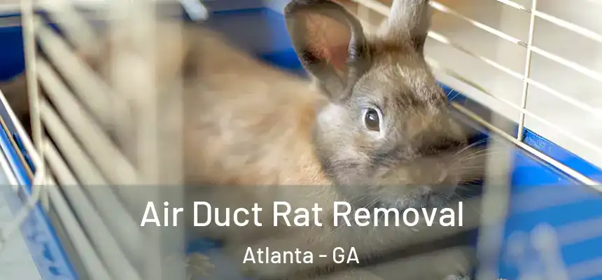  Air Duct Rat Removal Atlanta - GA