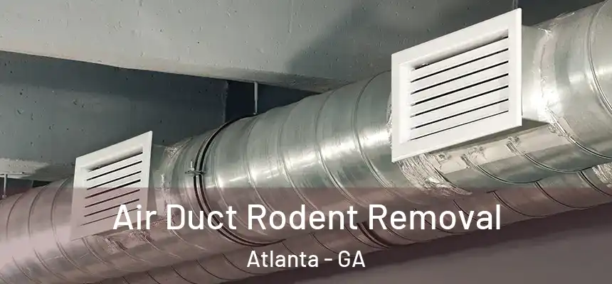  Air Duct Rodent Removal Atlanta - GA