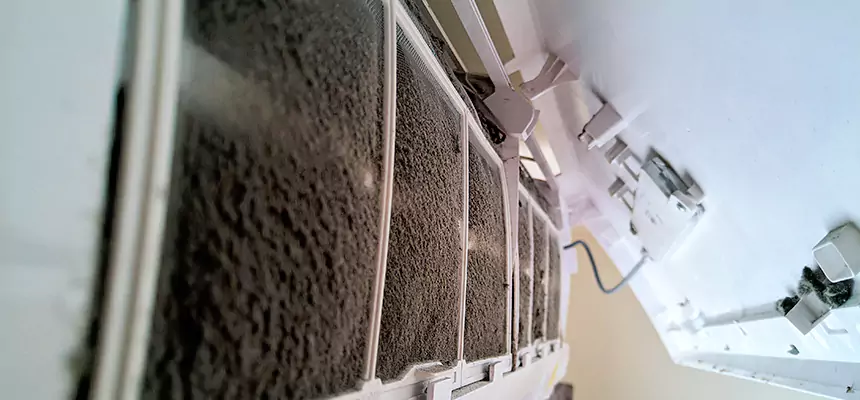 Preventive Air Duct Bacteria Removal in Atlanta