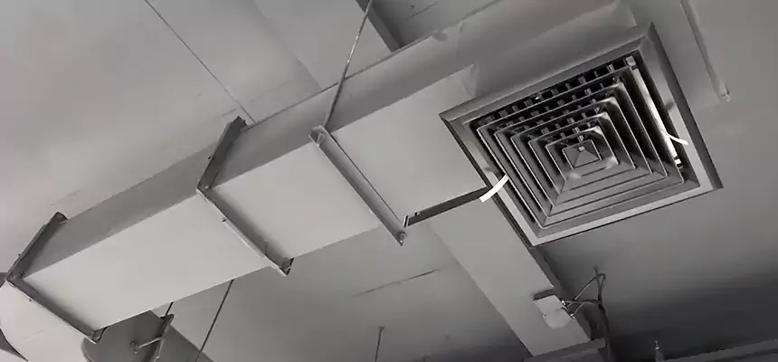 Restorative Allergy Relief Vent Cleaning – Coil, Blower & Housing Detail in Atlanta