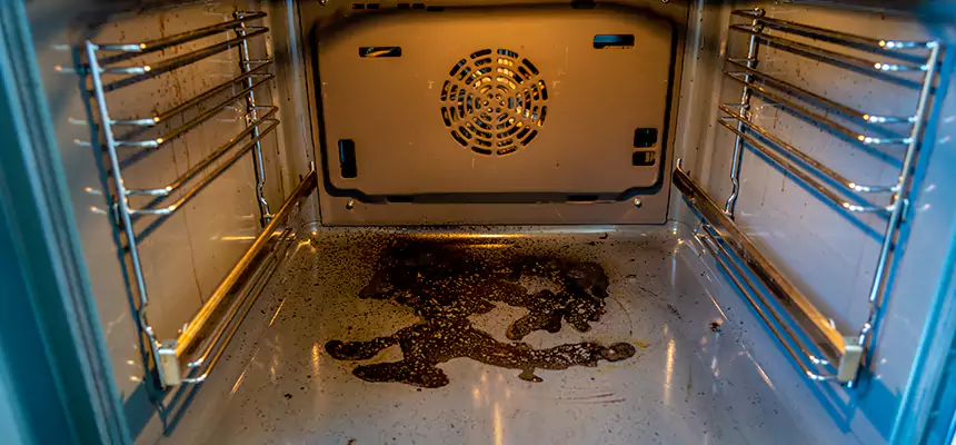 Our Dryer Vent Mold Cleaning Services in Atlanta, GA