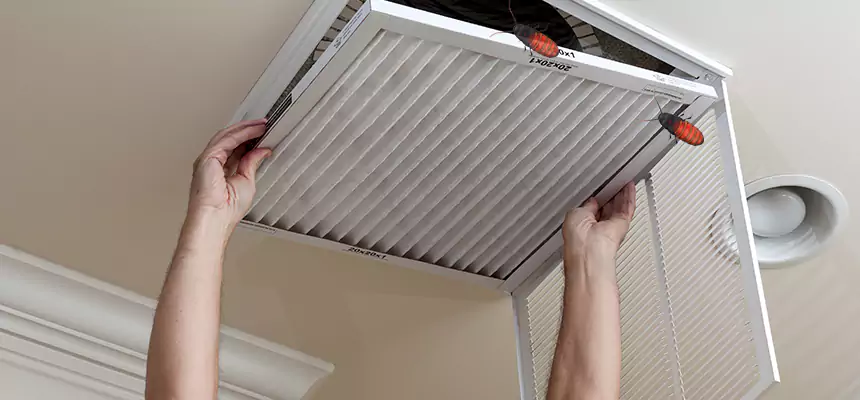 Our Insect Removal from Air Ducts Services in Atlanta, GA