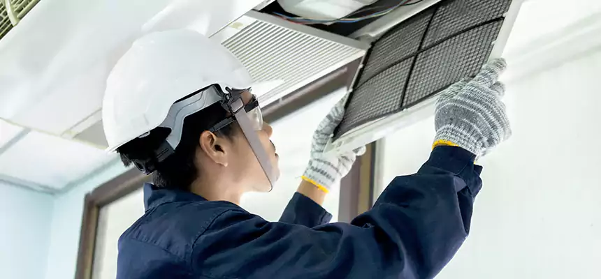 Our Mold & Mildew Removal from Air Ducts Services in Atlanta, GA