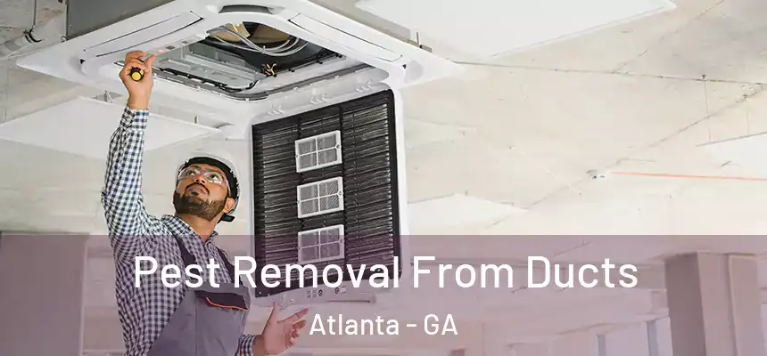  Pest Removal From Ducts Atlanta - GA