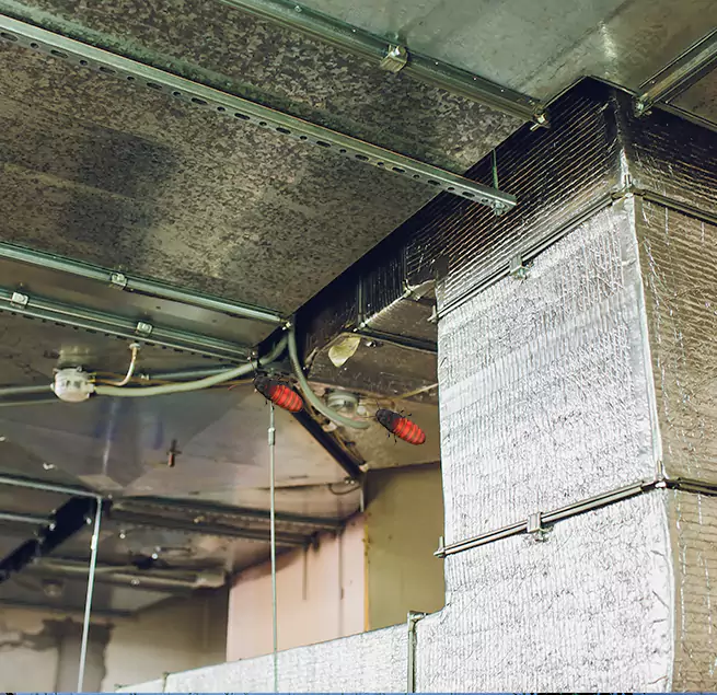 Why Homeowners & Businesses Trust Us in Atlanta, GA?