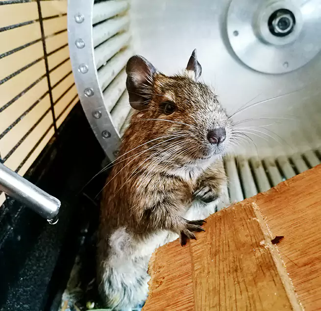 Why Homeowners & Businesses Trust Us Atlanta, GA