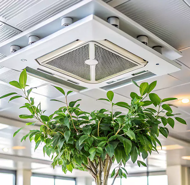 Why Homeowners & Businesses Trust Us in Atlanta, GA?