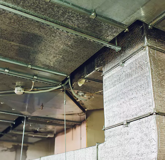 Why Homeowners & Businesses Trust Us in Atlanta, GA?